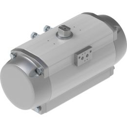 DFPD-N-900-RP-90-RS60-F14-R3-EP vérin oscillant